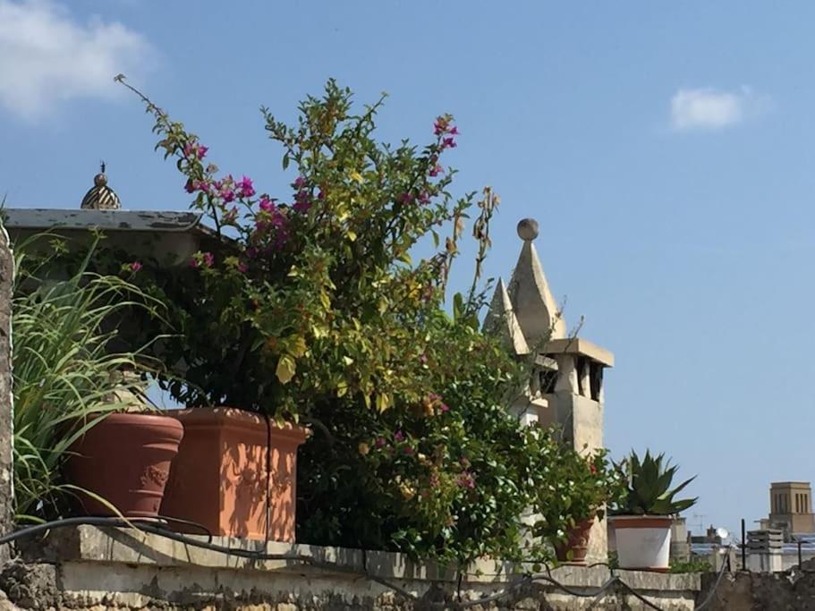 Corte Alessandri - Terrace Casa vacanze