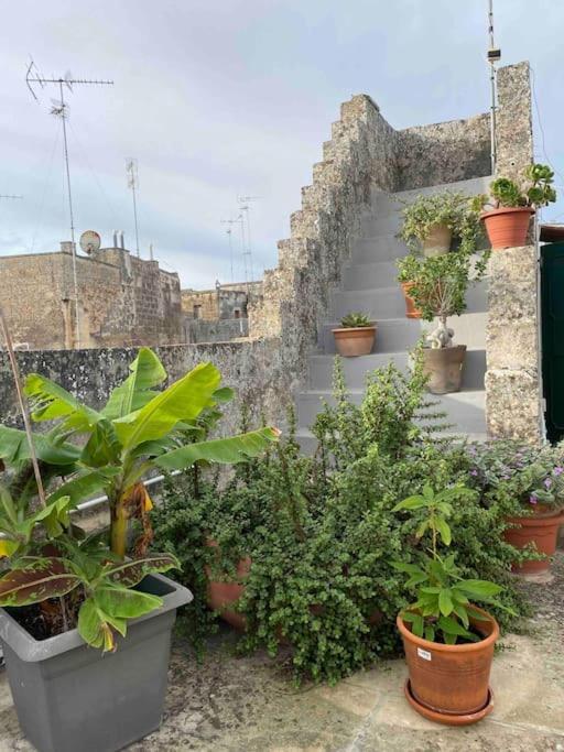 Corte Alessandri - Terrace Casa vacanze